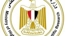 أخبار مصر