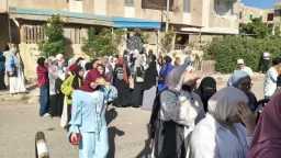 أخبار مصر