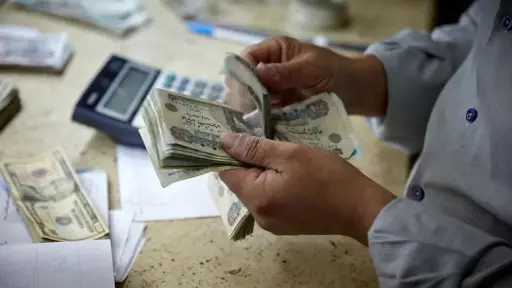أخبار مصر