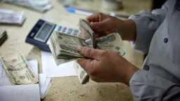 أخبار مصر