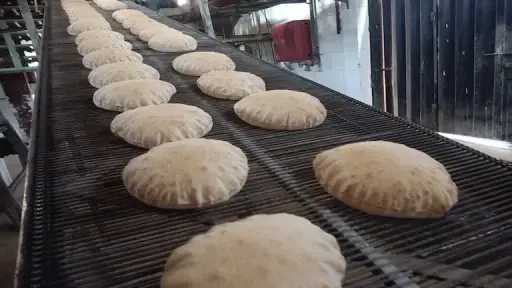 أخبار مصر