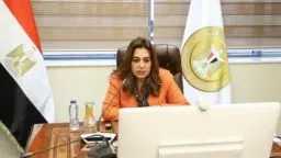 أخبار مصر