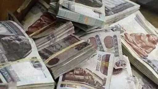 أخبار مصر