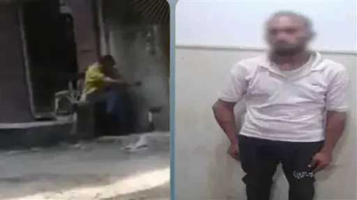 أخبار مصر