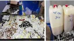 أخبار مصر