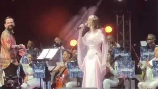 فن