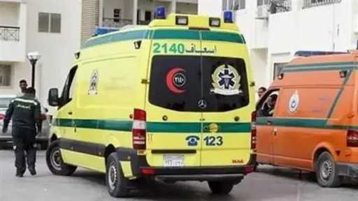 أخبار مصر