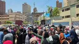 أخبار مصر