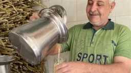 أخبار مصر