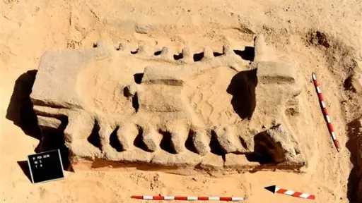 أخبار مصر