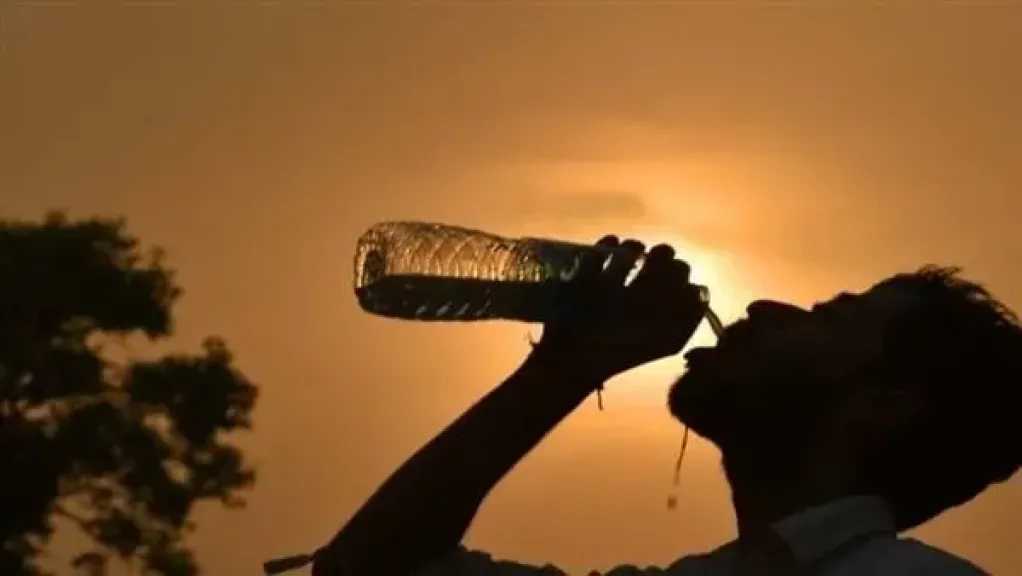أخبار مصر