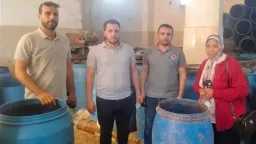 أخبار مصر