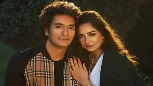 فن