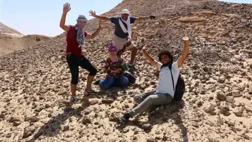 أخبار مصر