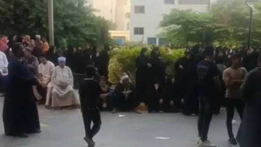 أخبار مصر