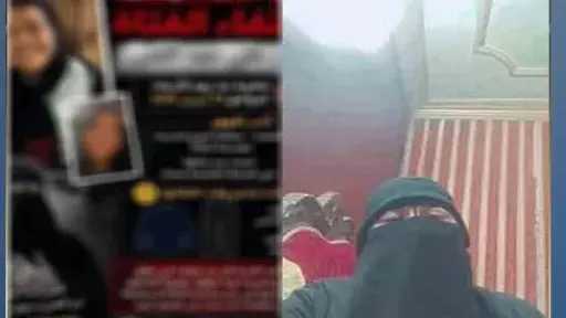 أخبار مصر
