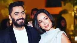 فن