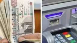 أخبار مصر