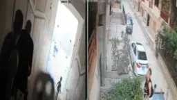 أخبار مصر