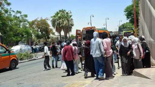 أخبار مصر