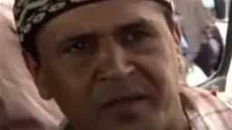 فن