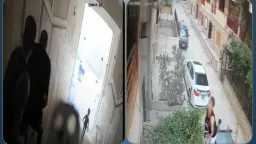 أخبار مصر
