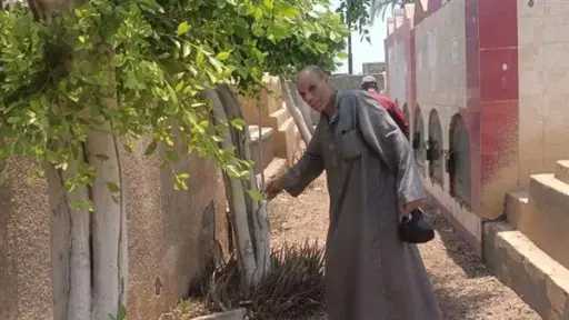 أخبار مصر