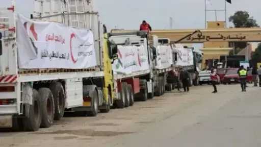 أخبار مصر