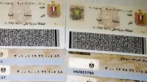 أخبار مصر