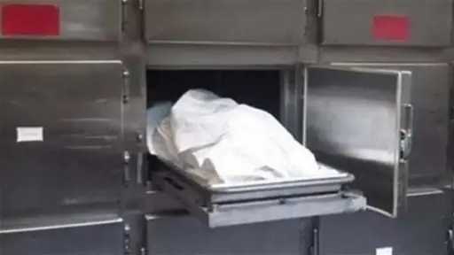 أخبار مصر
