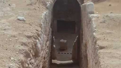 أخبار مصر