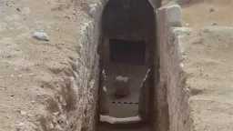 أخبار مصر