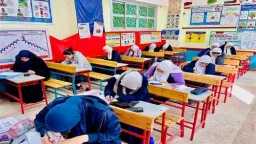أخبار مصر