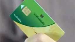 أخبار مصر