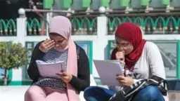 أخبار مصر