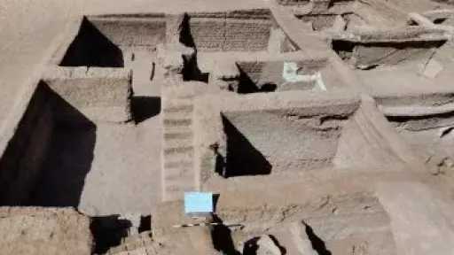 أخبار مصر