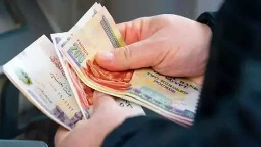 أخبار مصر