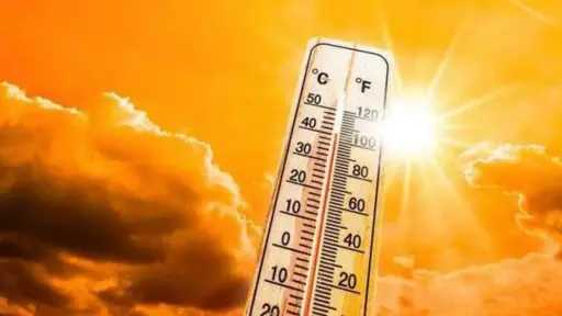أخبار مصر