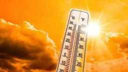 أخبار مصر