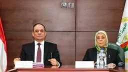 أخبار مصر