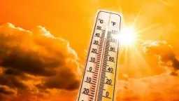 أخبار مصر