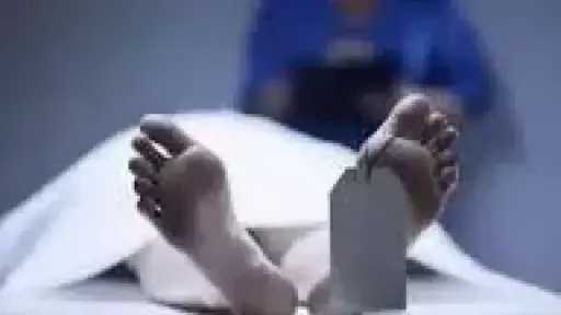 أخبار مصر