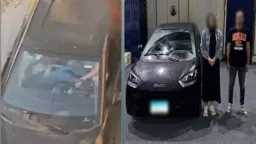 أخبار مصر