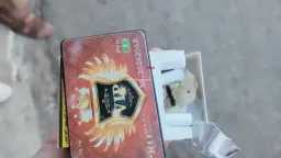 أخبار مصر