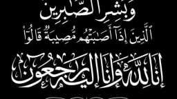 أخبار مصر