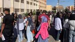 أخبار مصر