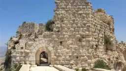 عربي ودولي