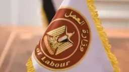 أخبار مصر