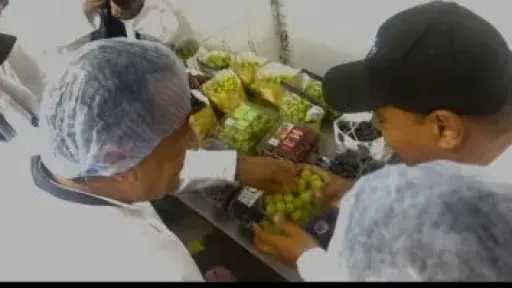 أخبار مصر