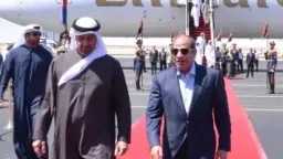 أخبار مصر